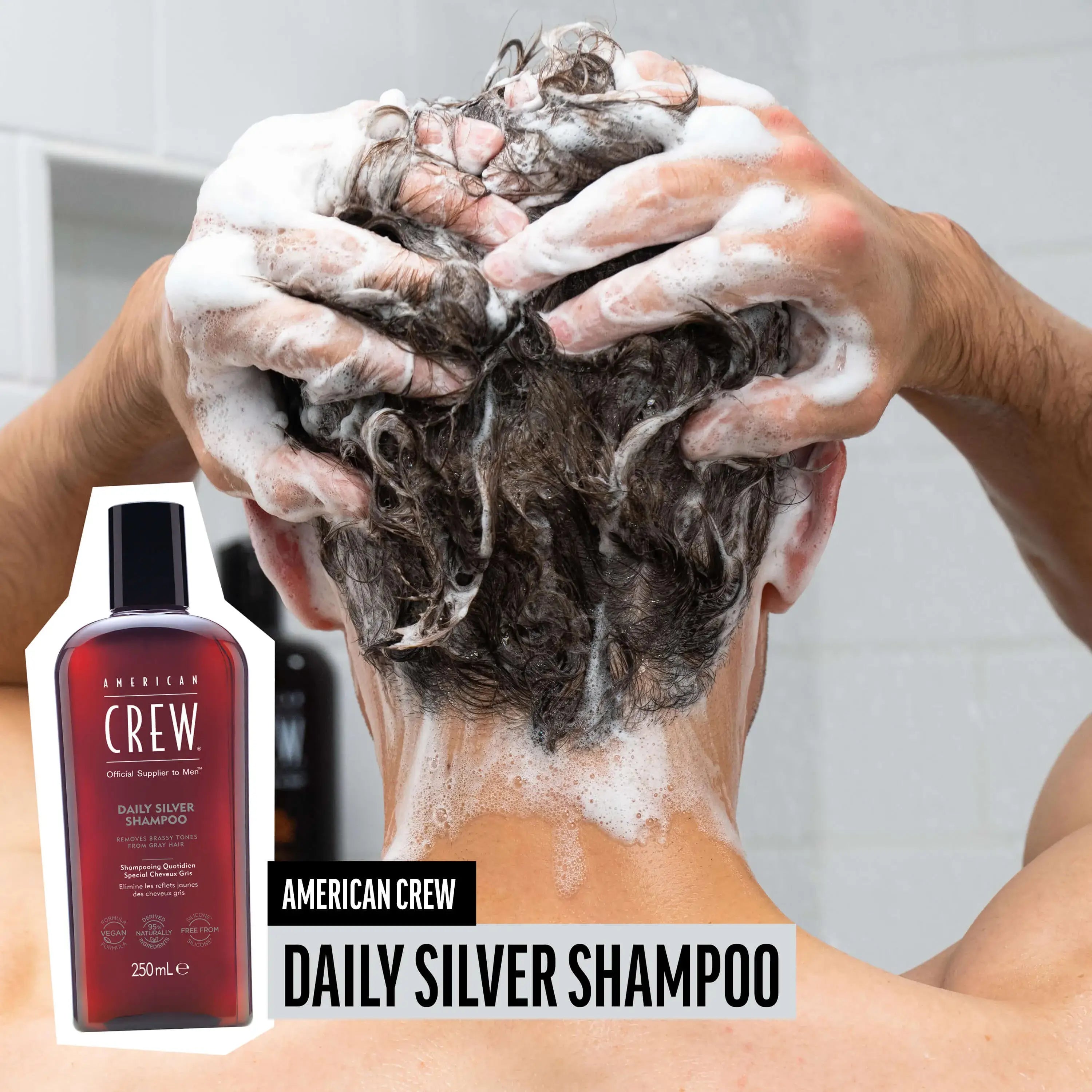Shampoo American Crew Daily Silver 250ml Cabello Canoso Antiamarillo Hombre
