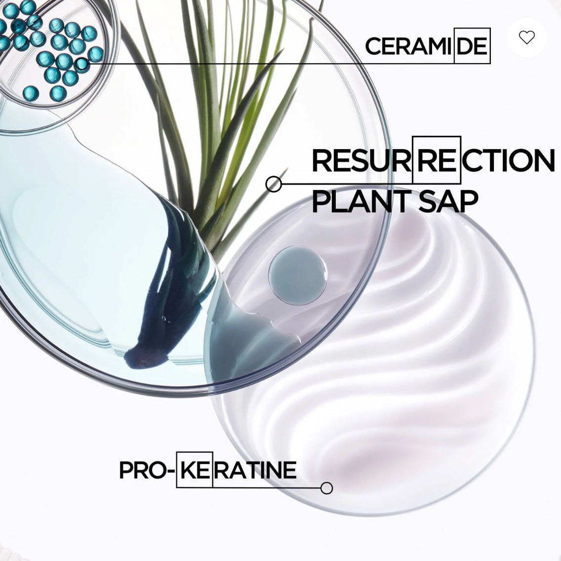 Mascarilla Kérastase Résistance Masque Thérapiste 200ml tratamiento reparador cabello dañado México