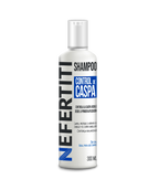 NEFERTITI SHAMPOO CONTROL CASPA 300 ML